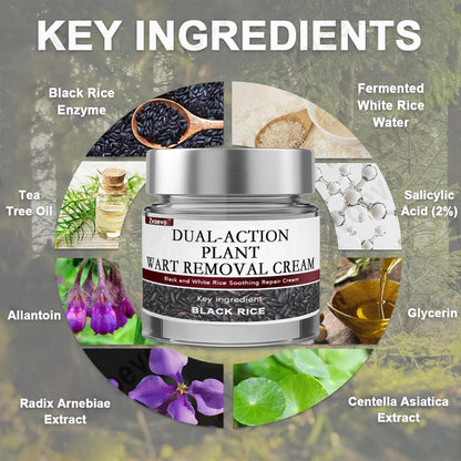Mavetto Black Rice Skin Repair Essence Cream